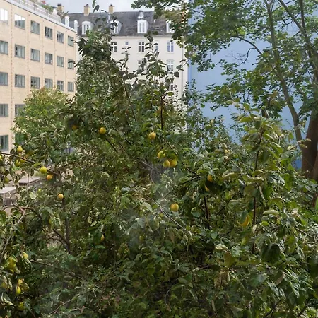 Apartmán Midt I Hjertet Af Det Aegte - Istedgade Kodaň